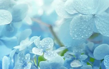 皆さんこんばんわ✨Hopeです🌸