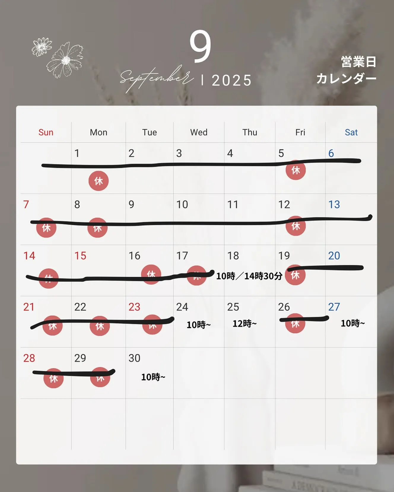 9月も中旬になり9月もあと少し…🕊